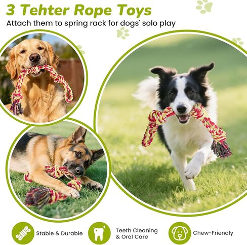 360° Rotation Tether Tug Outdoor Dog Toy, Exercise Tug of War Dog Toy in Kuwait
