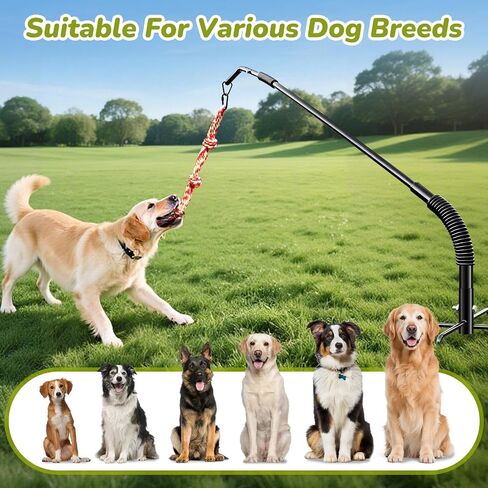 360° Rotation Tether Tug Outdoor Dog Toy, Exercise Tug of War Dog Toy in Kuwait