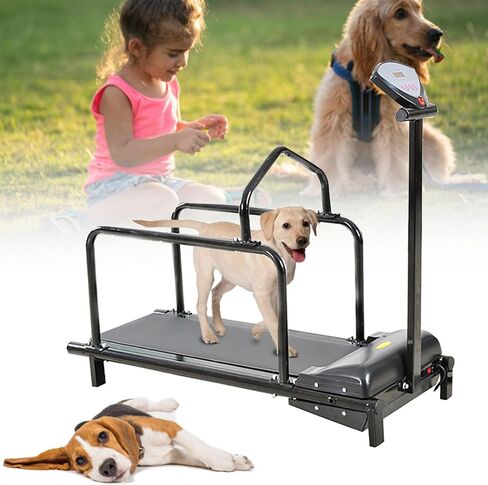Indoor Dog Treadmill for Exercise, Supports Up to 176 lbs, Perfect for Small to Large Dogs, Ideal for Weight Loss & Fitness Training in Kuwait