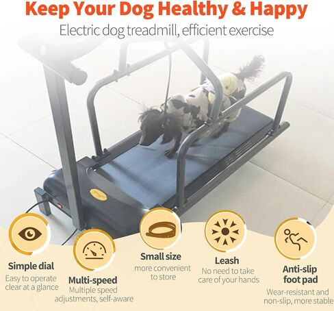 Indoor Dog Treadmill for Exercise, Supports Up to 176 lbs, Perfect for Small to Large Dogs, Ideal for Weight Loss & Fitness Training in Kuwait