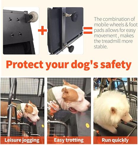 Indoor Dog Treadmill for Exercise, Supports Up to 176 lbs, Perfect for Small to Large Dogs, Ideal for Weight Loss & Fitness Training in Kuwait