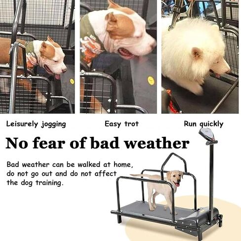 Dog Treadmill For Large Dogs, Treadmill For Medium Dogs, Running Machine For Small And Medium Dogs, Indoor Treadmill in Saudi Arabia