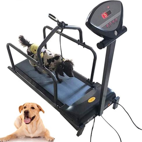 Dog Treadmill for Small and Medium Dogs, Fitness Equipment Pet Dog Running Machine with LED Display Screen, Adjustable Speed 176lb Capacity for Small Dog Exercise and Lose Weight in Kuwait