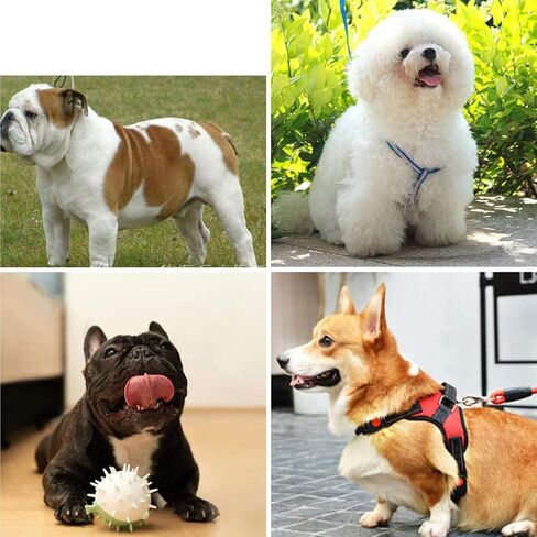 Dog Treadmill for Small and Medium Dogs, Fitness Equipment Pet Dog Running Machine with LED Display Screen, Adjustable Speed 176lb Capacity for Small Dog Exercise and Lose Weight in Kuwait