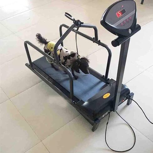 Dog Treadmill for Small and Medium Dogs, Fitness Equipment Pet Dog Running Machine with LED Display Screen, Adjustable Speed 176lb Capacity for Small Dog Exercise and Lose Weight in Kuwait
