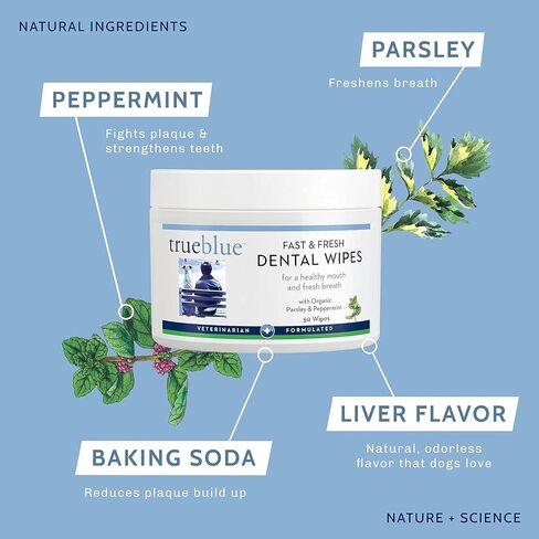 TrueBlue Dog Dental Wipes, Pre-Moistened Pads, Peppermint & Parsley in Saudi Arabia