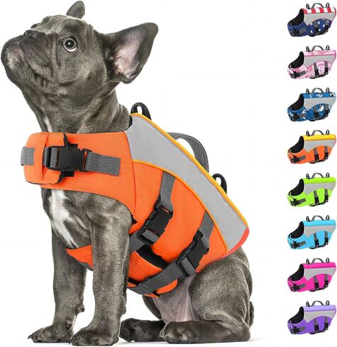 Dog Life Jacket, High Flotation Small Dog Life Vest for Swimming in Saudi Arabia