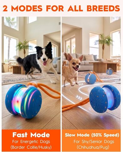 Xeuch Interactive Dog Toys, Automatic Irregular Moving and Rolling Dog Ball in Kuwait