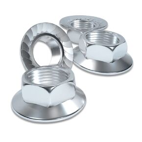 M8x1.25 Flange Galvanized Black Nut Hex 304 Stainless Steel Types ROARADE Serrated and Flat (M8x1.25 304 Galvanized Black 30 PCS) in Saudi Arabia