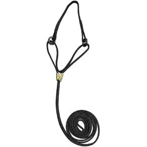 Resco Cordo-Hyde Martingale Dog Show Lead for Conformation, 10", Wheat in Saudi Arabia