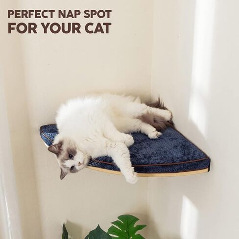 LIORCE Wall Mounted Corner Cat Bed - Cat Shelf with Comfortable Cushion - Minimalistic Cats Furniture for Indoor Cats - Climbing Perch for Wall,Cream in Kuwait