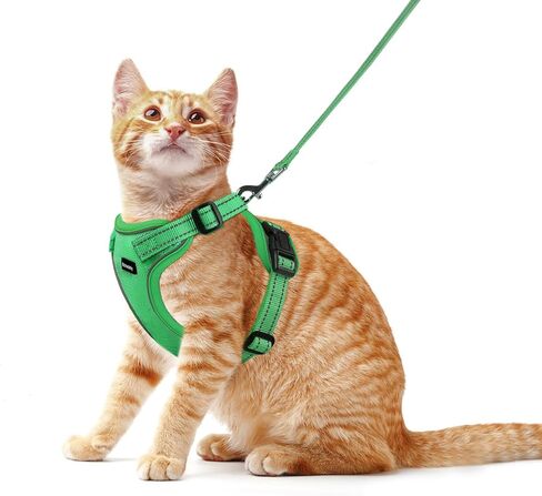 Cat Harness and Leash Set, Escape Proof Cat Harness with Reflective Strips, Breathable Mesh Vest, Adjustable Walking Harness for Indoor Outdoor Cats, Kittens, Small Medium Large Cats (Green, M) in Kuwait