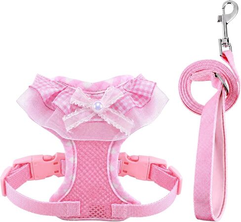 Kitten Harness and Leash Set in Kuwait