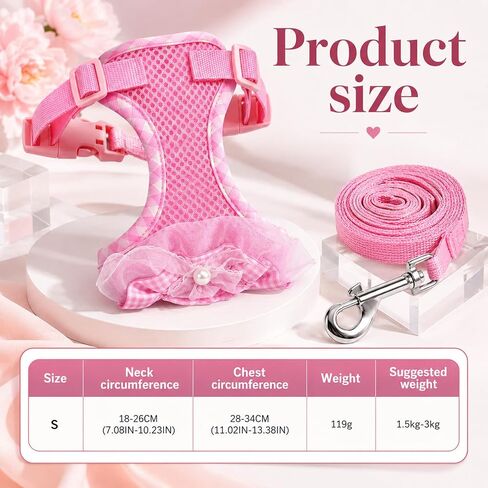 Kitten Harness and Leash Set in Kuwait