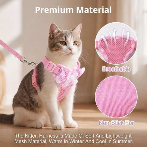 Kitten Harness and Leash Set in Kuwait