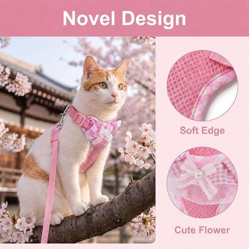 Kitten Harness and Leash Set in Kuwait