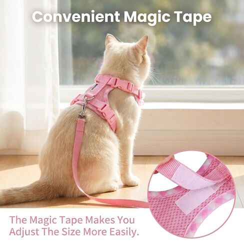 Kitten Harness and Leash Set in Kuwait