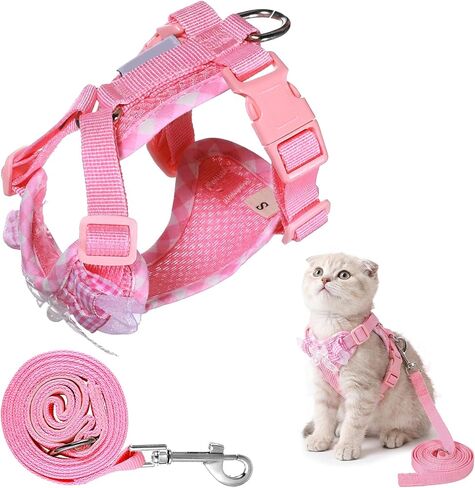 Kitten Harness and Leash Set in Kuwait