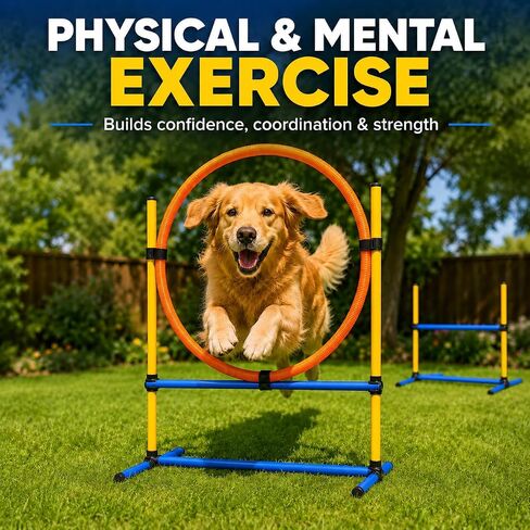 Dog Agility Equipment - Dog Obstacle Course Backyard Set - Puppy Agility Training Equipment Starter Kit with Adjustable Dog Jumps, Hurdle Ring, Pause Box & Storage Bag in Kuwait