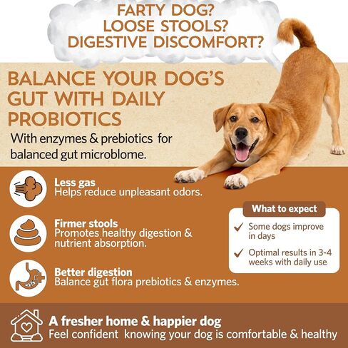 Fidobiotics Good Guts Probiotics for Medium Dogs in Kuwait