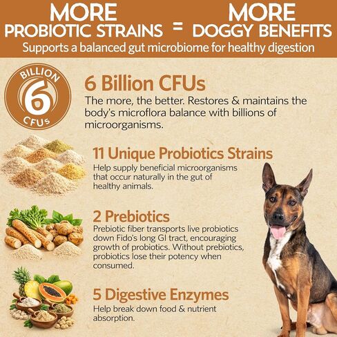 Fidobiotics Good Guts Probiotics for Medium Dogs in Kuwait