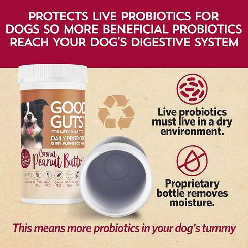 Fidobiotics Good Guts Probiotics for Medium Dogs in Kuwait