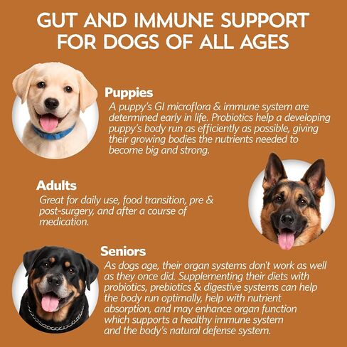 Fidobiotics Good Guts Probiotics for Medium Dogs in Kuwait