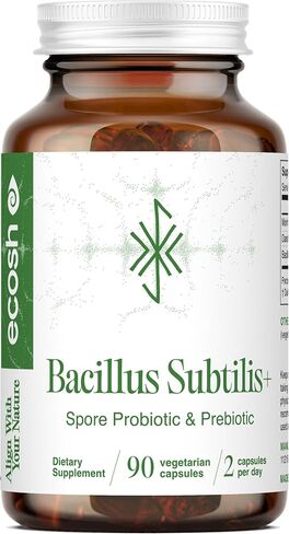 بروبيوتيك من Bacillus Subtilis - سلالة عالية الفعالية مع البريبايوتك لبطن متوازن | دعم صحة الأمعاء والميكروبيوم اليومي للعائلة | 6 مليار وحدة تشكيل مستعمرة في اليوم | 90 كبسولة نباتية in Kuwait