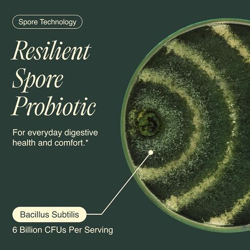 بروبيوتيك من Bacillus Subtilis - سلالة عالية الفعالية مع البريبايوتك لبطن متوازن | دعم صحة الأمعاء والميكروبيوم اليومي للعائلة | 6 مليار وحدة تشكيل مستعمرة في اليوم | 90 كبسولة نباتية in Kuwait