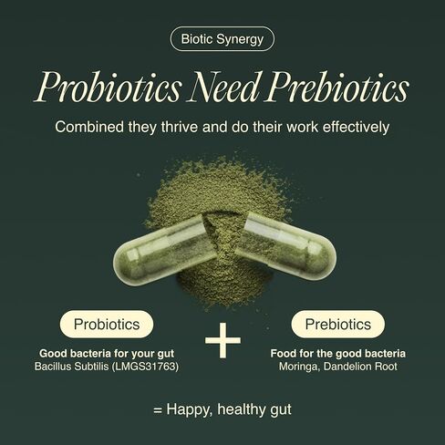 بروبيوتيك من Bacillus Subtilis - سلالة عالية الفعالية مع البريبايوتك لبطن متوازن | دعم صحة الأمعاء والميكروبيوم اليومي للعائلة | 6 مليار وحدة تشكيل مستعمرة في اليوم | 90 كبسولة نباتية in Kuwait