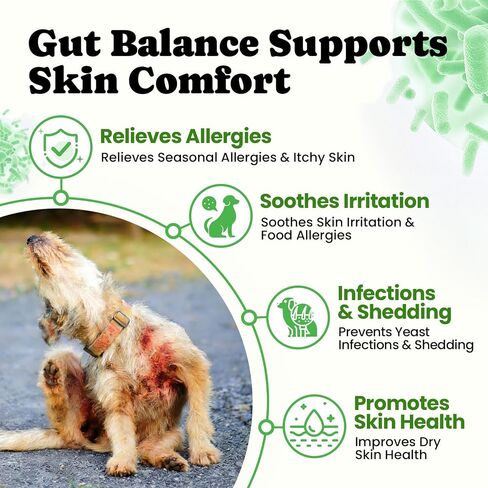 Probiotics for Dogs - Digestive & Gut Health for Sensitive Stomachs ，Dog Probiotics Powder for Skin & Coat, Breath and Immunity with 11 Strains, 4 Prebiotics, 5 Enzymes, Pumpkin, 60 Packets, Chicken in Saudi Arabia