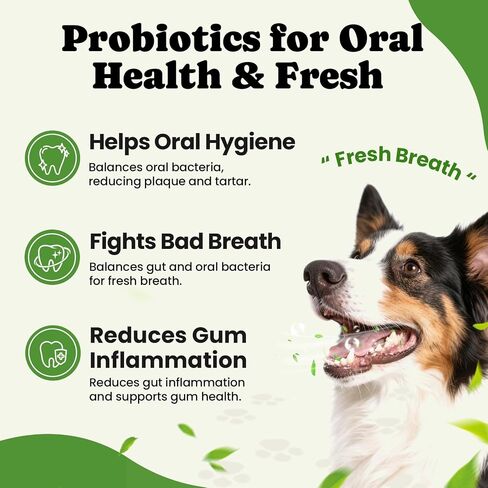 Probiotics for Dogs - Digestive & Gut Health for Sensitive Stomachs ，Dog Probiotics Powder for Skin & Coat, Breath and Immunity with 11 Strains, 4 Prebiotics, 5 Enzymes, Pumpkin, 60 Packets, Chicken in Saudi Arabia