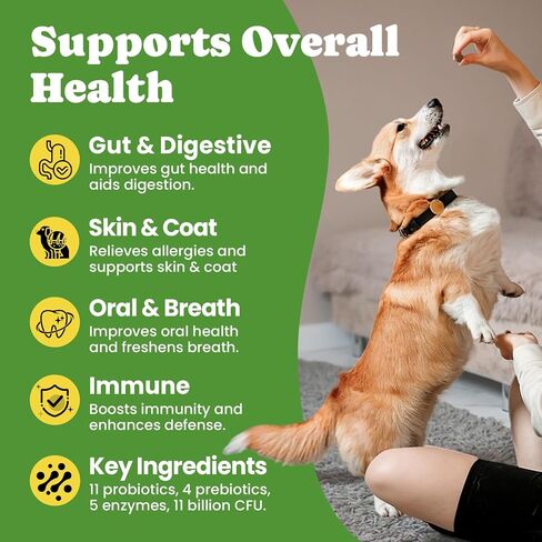 Probiotics for Dogs - Digestive & Gut Health for Sensitive Stomachs ，Dog Probiotics Powder for Skin & Coat, Breath and Immunity with 11 Strains, 4 Prebiotics, 5 Enzymes, Pumpkin, 60 Packets, Chicken in Saudi Arabia