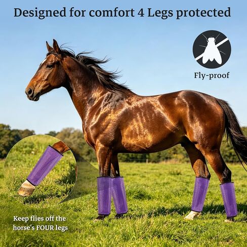 Mesh Horse Fly Boots, Purple, Set of 4 in Saudi Arabia