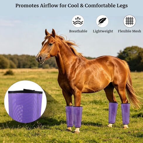 Mesh Horse Fly Boots, Purple, Set of 4 in Saudi Arabia