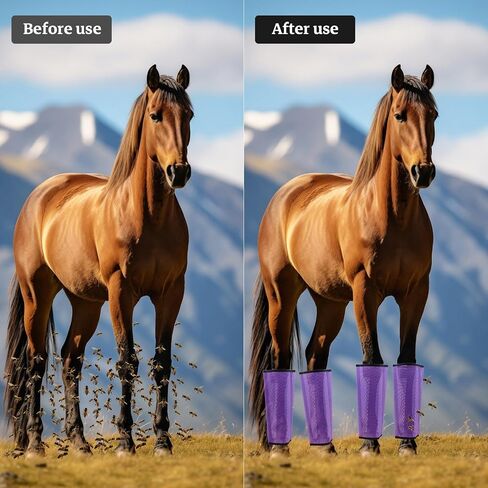 Mesh Horse Fly Boots, Purple, Set of 4 in Saudi Arabia