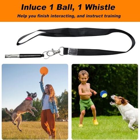 Portable Dog Agility Course Set,Indoor Outdoor Dog Training Exercise Fun Tool,with Jump Hurdles, Weave Poles, Tunnel & Pause Box in Saudi Arabia