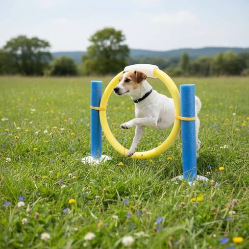 Agility Training Equipment Dog Obstacle Course Set Exercise Tunnel Jump Hoop Hurdle for Pet Agility Practice Suitable for Home Outdoor Physical Activity in Kuwait