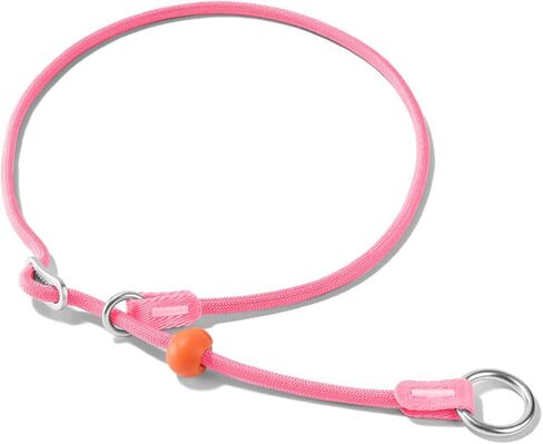 HowGo Slip Collar for Dogs,Adjustable Martingale Collar(MintGreen,L) in Saudi Arabia