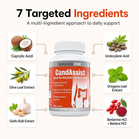 Balance ONE CandAssist Intestinal Flora Balance - Caprylic Acid, Oregano, Berberine - Delayed Release Capsules - Vegan, Non-GMO - 30 Day Supply in Saudi Arabia