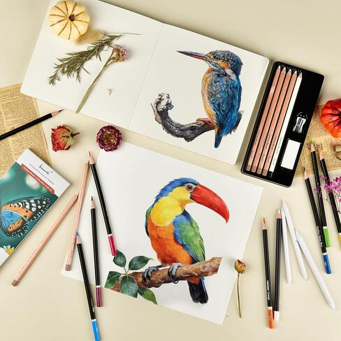 Brusarth Colorless Blender & Burnisher Pencil Set for Colored Pencils in Kuwait