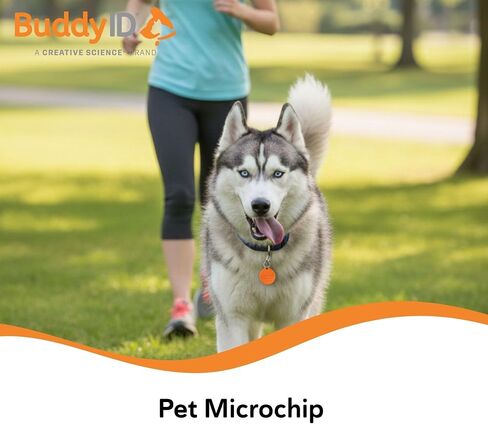 BuddyID ISO Pet Mini Microchip with Lifetime Registration & Starter Tag 5ct in Kuwait