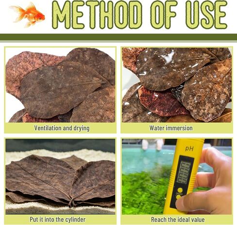 LeonBach 100 Pcs Indian Almond Leaves for Aquariums, 5-8 Inches in Kuwait
