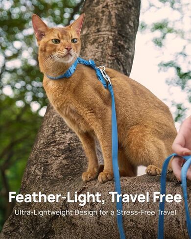 PetThem Adjustable Cat Harness and Leash Set Escape Proof (Blue) in Saudi Arabia