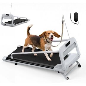 Treadmill for Small & Medium Dog with Remote & Incline, 265 lbs Capacity in Kuwait