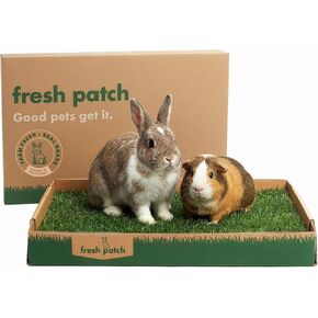 Fresh Patch Real Grass for Rabbits and Other Small Animals (16 Inches x 24 Inches) in Kuwait