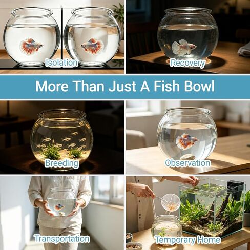 Koller Products 1-Gallon Plastic Round Fish Bowl, Hospital Fish Tank for Betta, Shrimp, Snail, Temporary Tank for Fry, Isolation, Classroom Education & Decoration in Kuwait