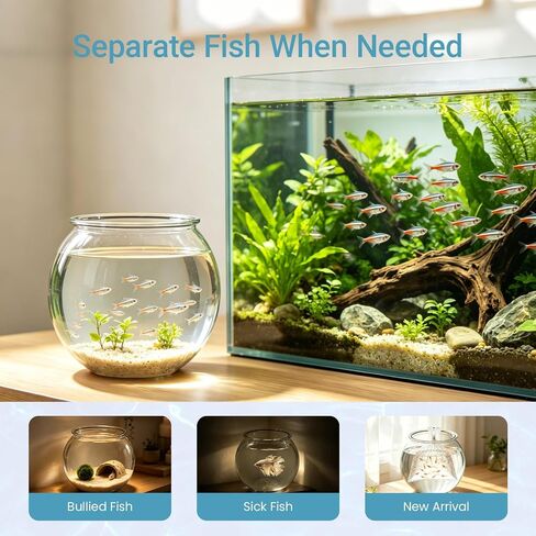 Koller Products 1-Gallon Plastic Round Fish Bowl, Hospital Fish Tank for Betta, Shrimp, Snail, Temporary Tank for Fry, Isolation, Classroom Education & Decoration in Kuwait