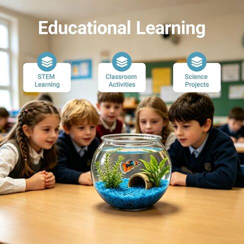 Koller Products 1-Gallon Plastic Round Fish Bowl, Hospital Fish Tank for Betta, Shrimp, Snail, Temporary Tank for Fry, Isolation, Classroom Education & Decoration in Kuwait