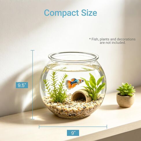 Koller Products 1-Gallon Plastic Round Fish Bowl, Hospital Fish Tank for Betta, Shrimp, Snail, Temporary Tank for Fry, Isolation, Classroom Education & Decoration in Kuwait